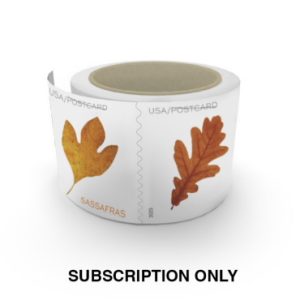 Postcard Rate Stamps 2025 Autumn Leaves – Nature Series, First-Class Rate
