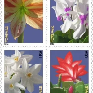 Forever Stamps 2014 Winter Flowers – Seasonal Blooms, First-Class Postage
