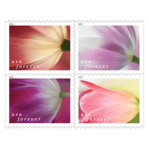 Forever Stamps 2023 Tulip Blossoms – Nature Series, First-Class Postage