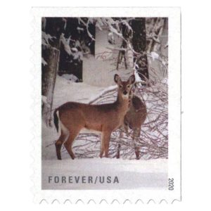 Forever Stamps 2020 Winter Scenes – Seasonal Celebration, First-Class Postage
