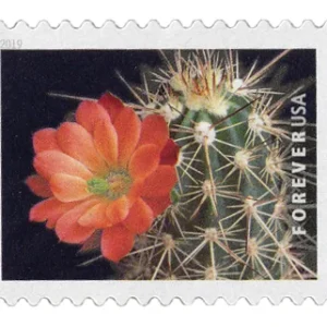 Forever Stamps 2019 Cactus Flowers – Nature Series, First-Class Postage
