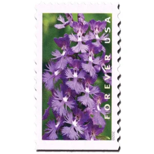 Forever Stamps 2020 Wild Orchids – Nature Series, First-Class Postage