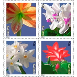 Forever Stamps 2014 Winter Flowers – Seasonal Blooms, First-Class Postage